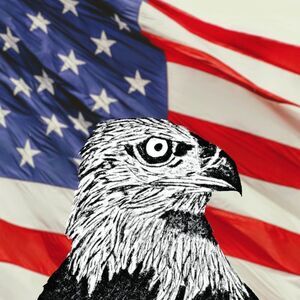 Handmade Framed Art Print Bald Eagle Picture American Flag Wall  8x10 in Picture